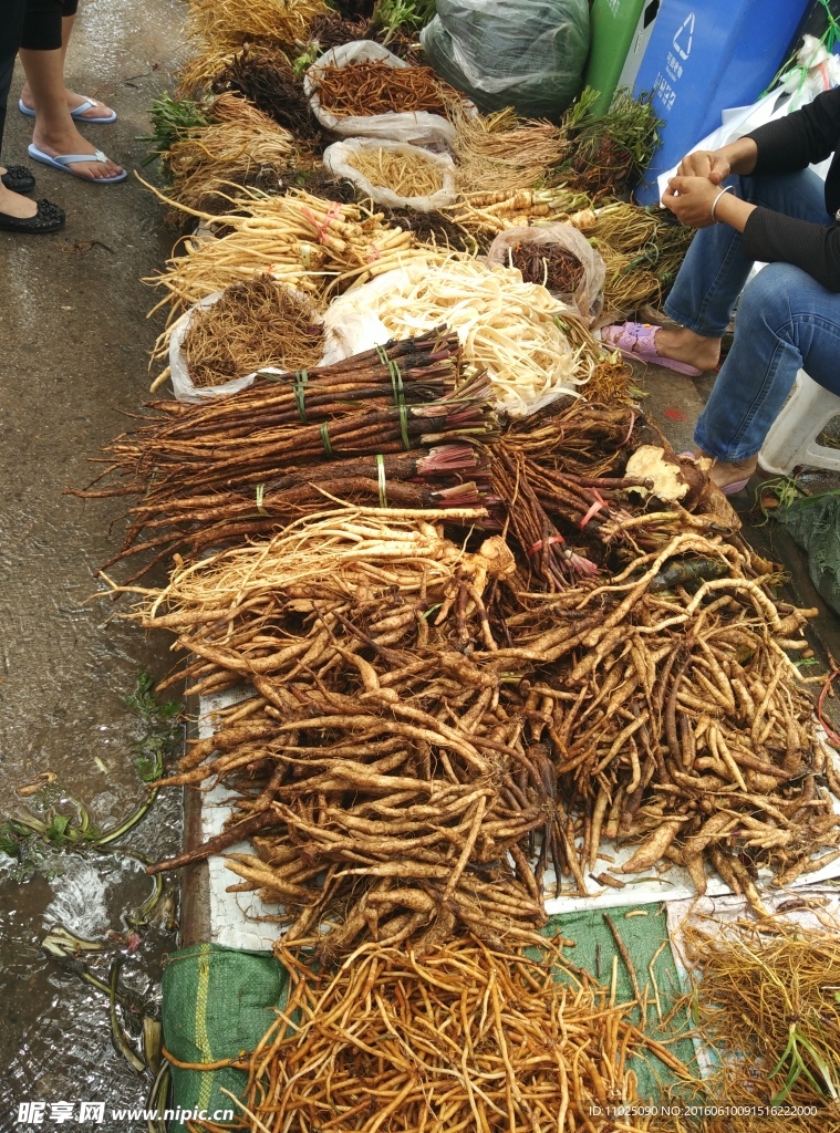 煮汤药根