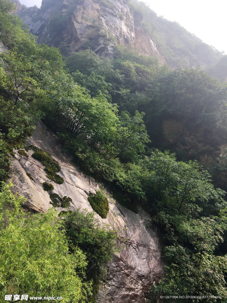 雨后山林