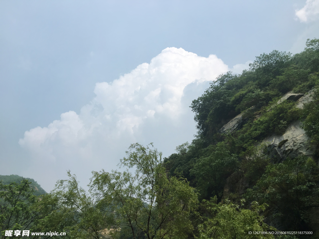 雨后山林