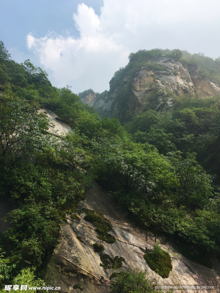 雨后山林