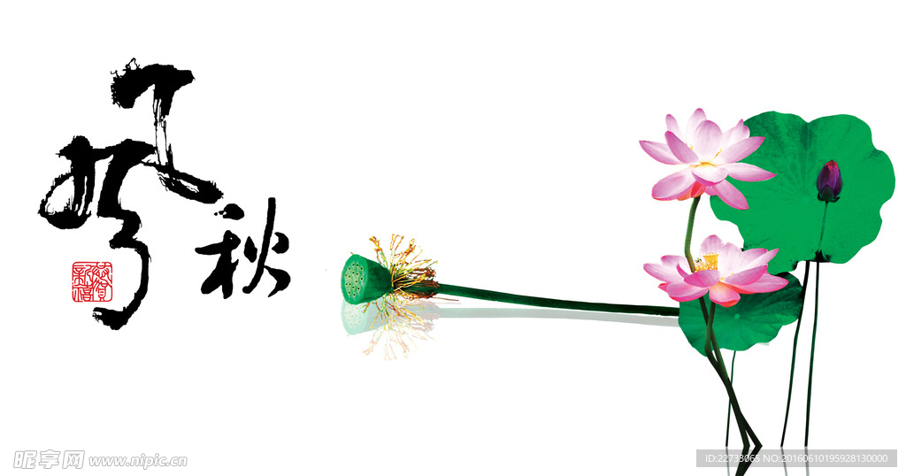 荷花无框画