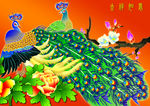 孔雀牡丹