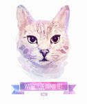 水彩猫咪头像矢量素材