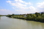 西溪湿地