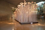 太阳花艺术展