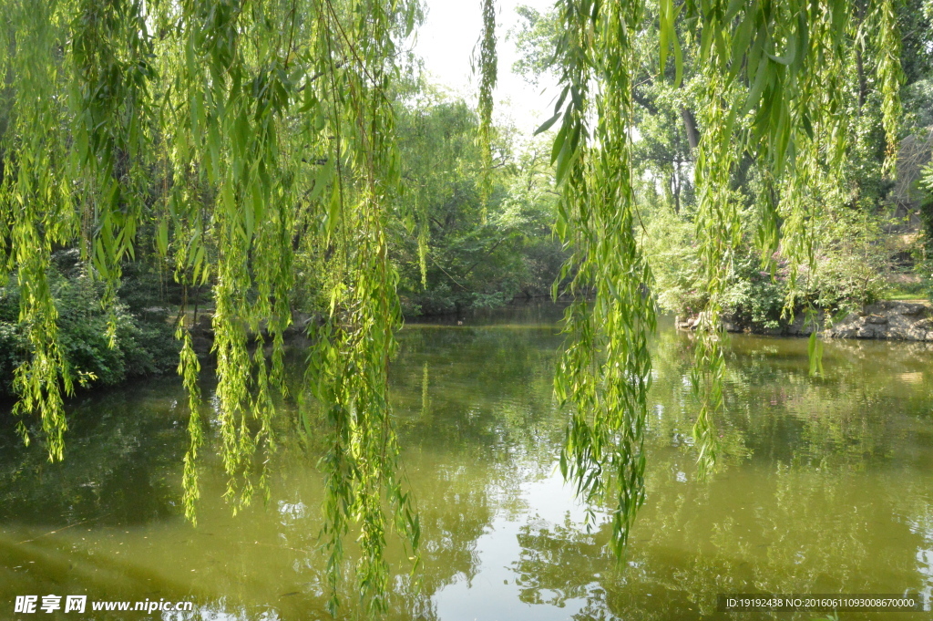 动物园风景