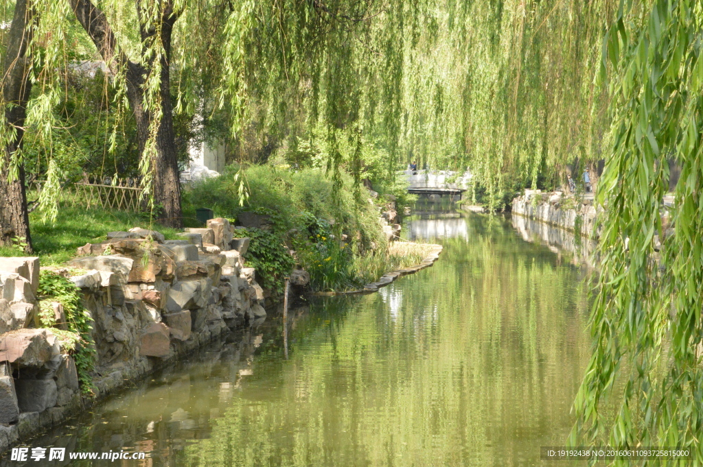 动物园风景