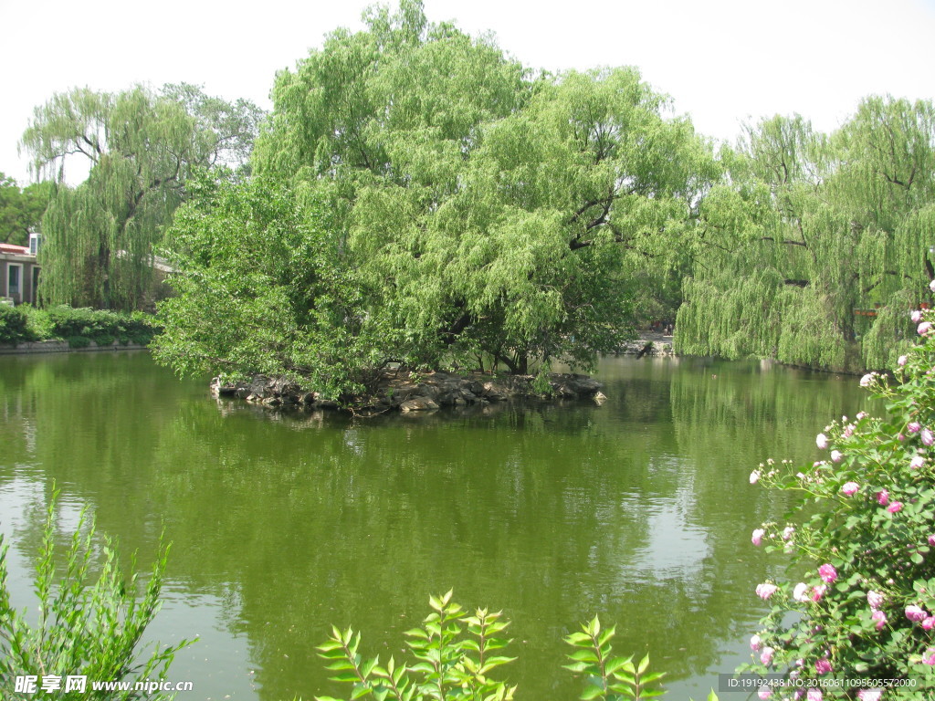 园林美景