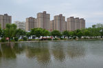 城市园林