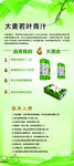 大麦若青汁易拉宝