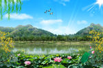 自然风景