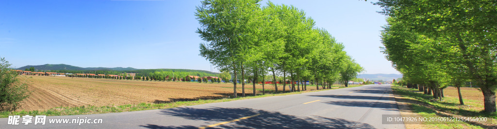 村前公路风景图片