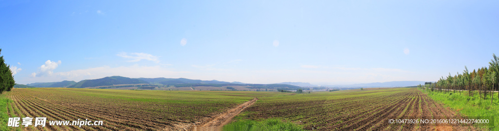 田间地头风景图片