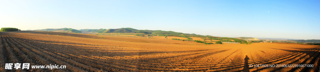 田间风景图片