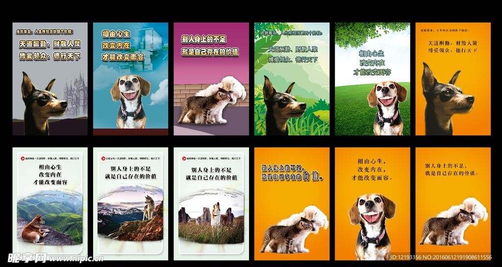 小狗海报
