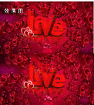玫瑰花LOVE婚礼庆典爱情背景
