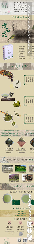 老毛尖详情图