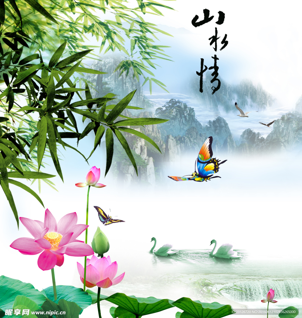 荷花 山水情