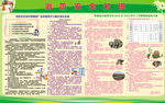 消防安全知识