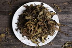 茶叶摄影图片