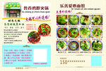 火锅 面条传单