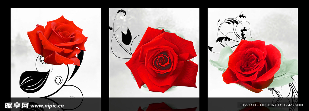 红玫瑰无框画图片