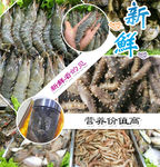 海鲜产品