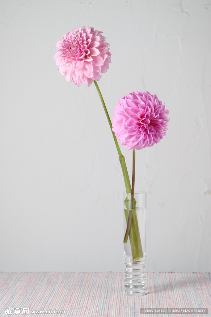 水杯插花