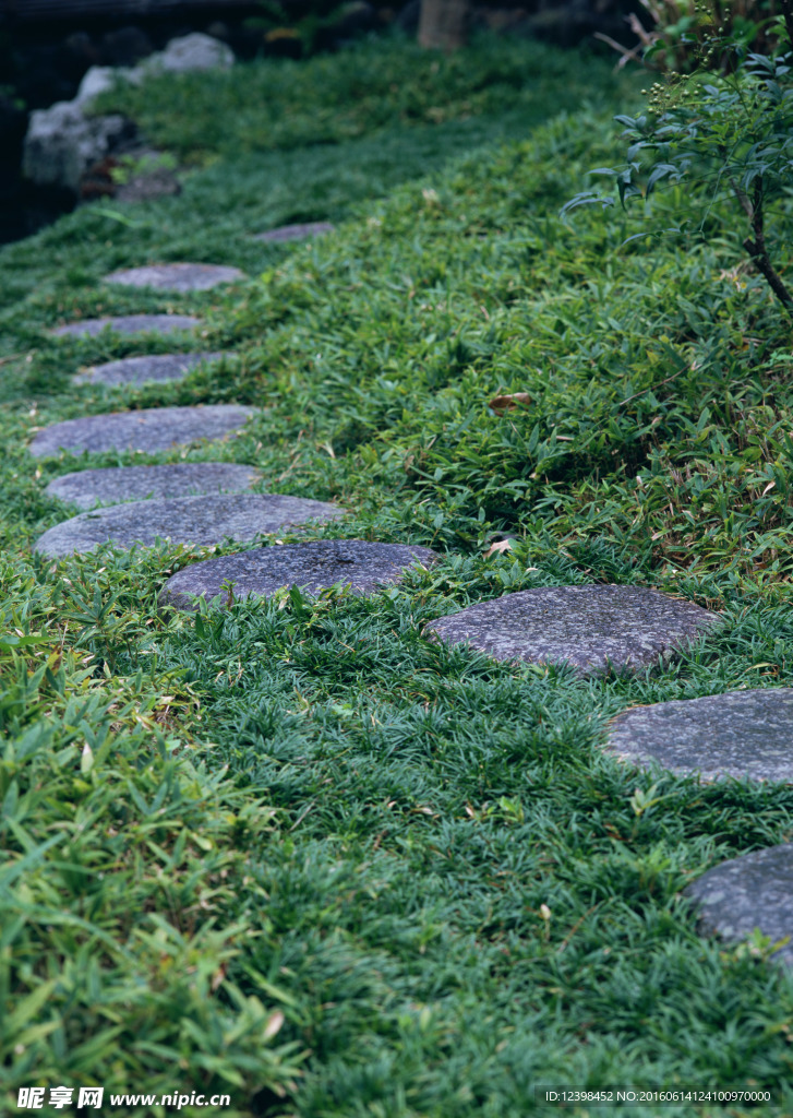 草地步道