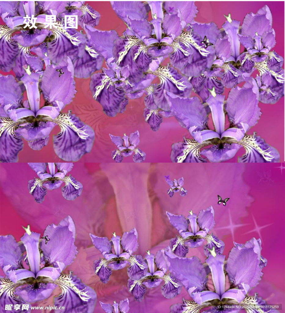 蝴蝶花紫色唯美视频背景