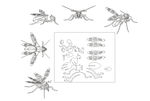 激光雕刻CDR拼图大黄蜂