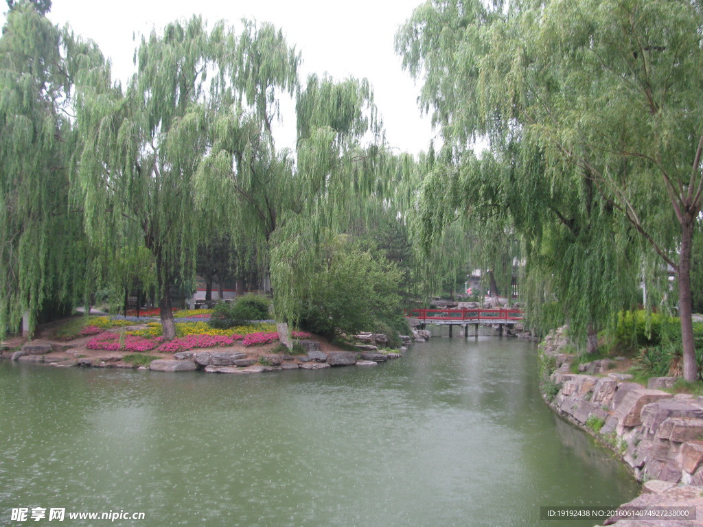 中山公园美景