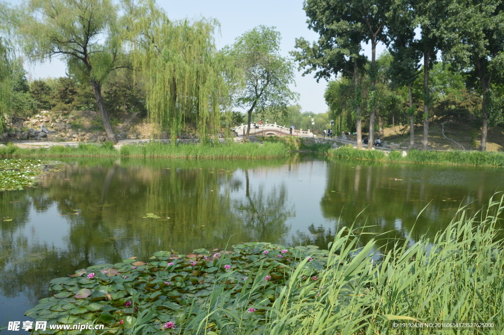 圆明园风景