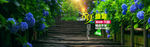夏季女装海报 全屏banner