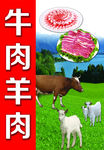 牛肉羊肉海报