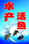 水产活鱼