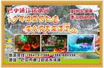 漂流