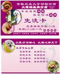 免洗卡   名片