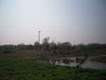 湿地公园