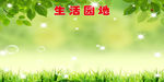 校园展板