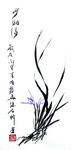 兰花   聚马凉石   国画