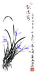 兰花   聚马凉石   国画