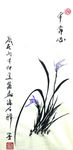 兰花   聚马凉石   国画
