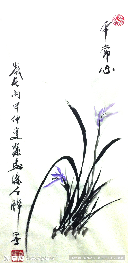 兰花   聚马凉石   国画