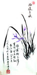 兰花   聚马凉石