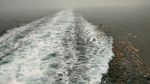大海