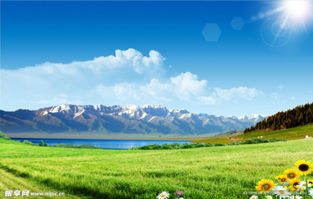 风景