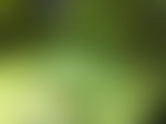 模糊光晕
