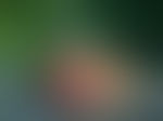 模糊光晕