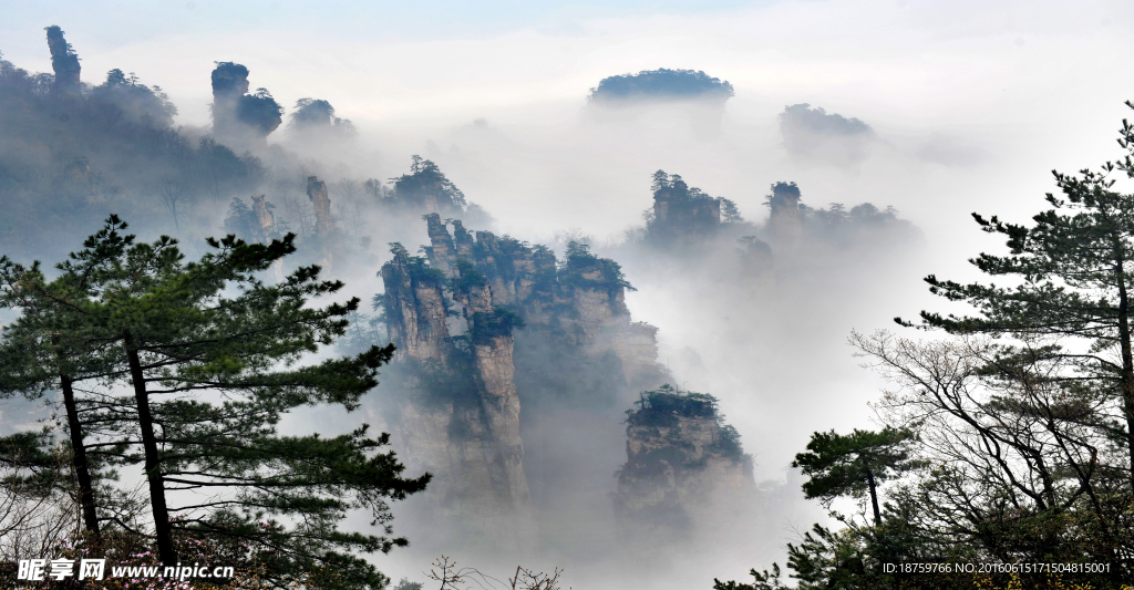 张家界天子山